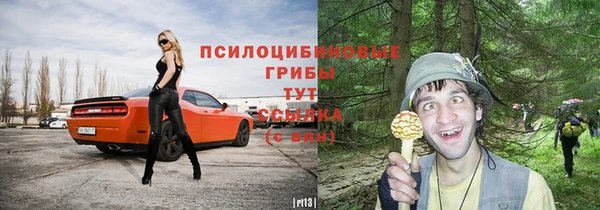 сатива Балабаново