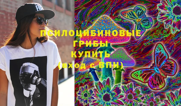 сатива Балабаново