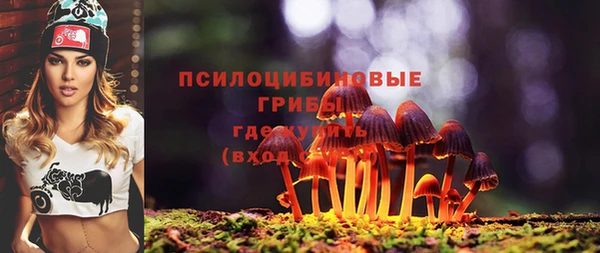 сатива Балабаново