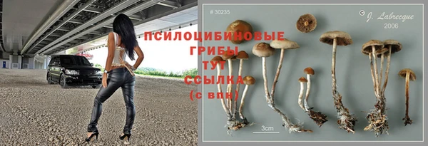 тгк Балахна