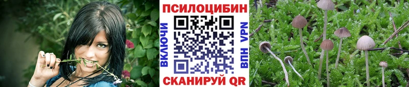 наркота  hydra зеркало  Псилоцибиновые грибы Magic Shrooms  Бор 
